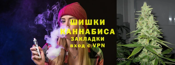 крисы Пестово