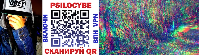 Псилоцибиновые грибы мухоморы  как найти наркотики  Бирск 